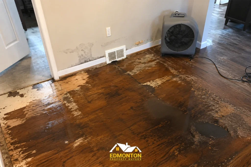 a House With Water Damage